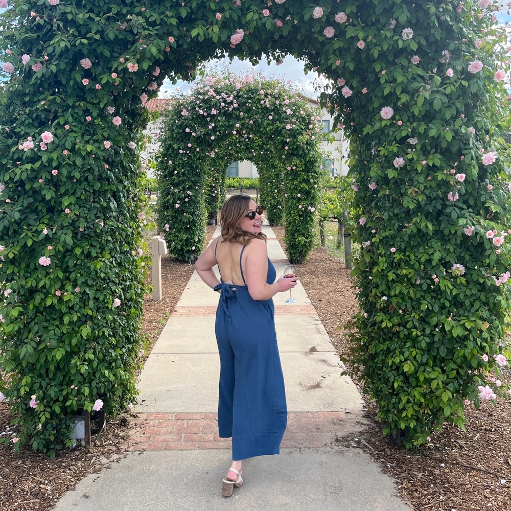 Lulus Denim low back jumpsuit